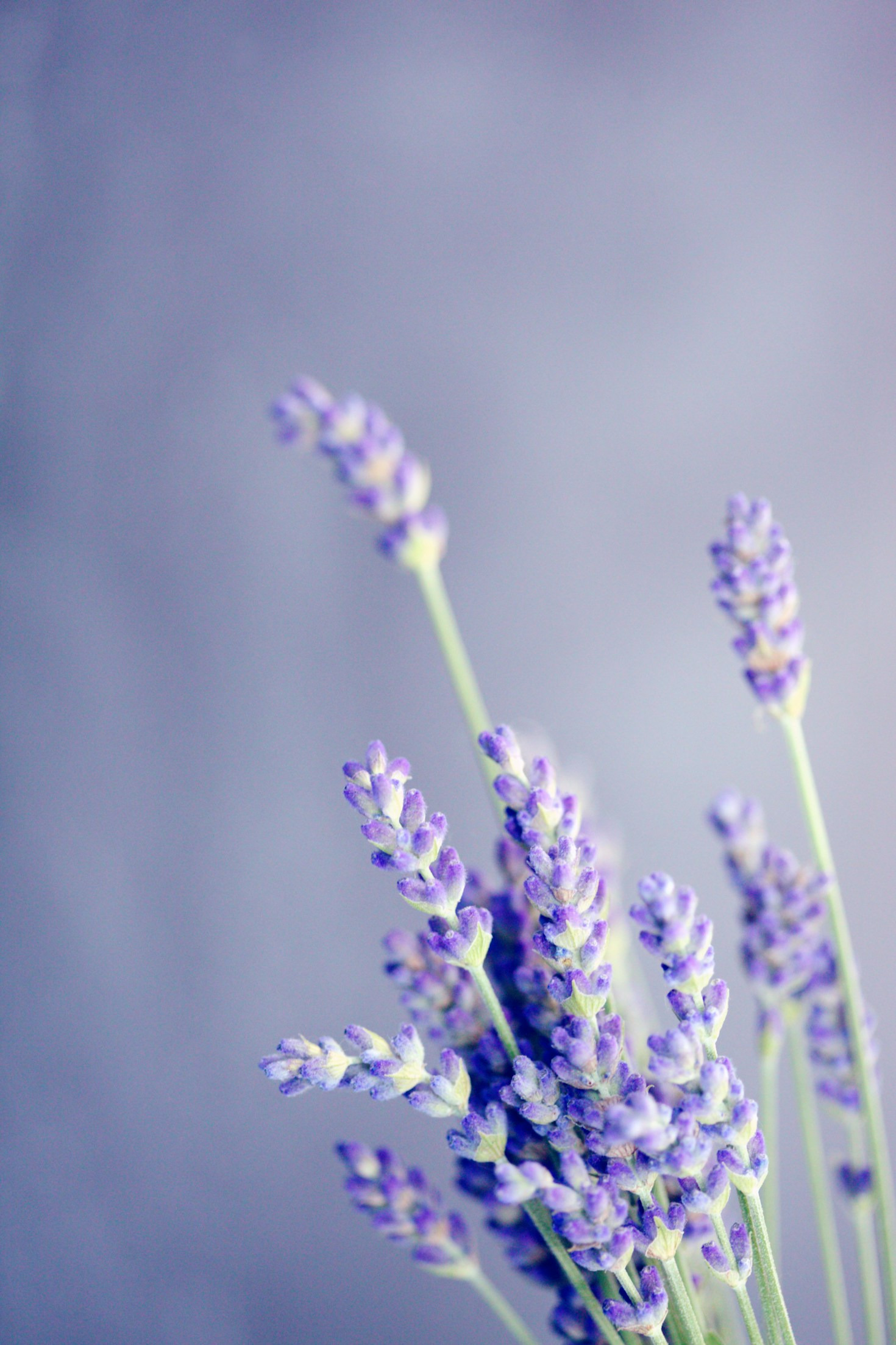 Understanding the Science Behind Nano-Medicine ~ And How It Relates to Homeopathy